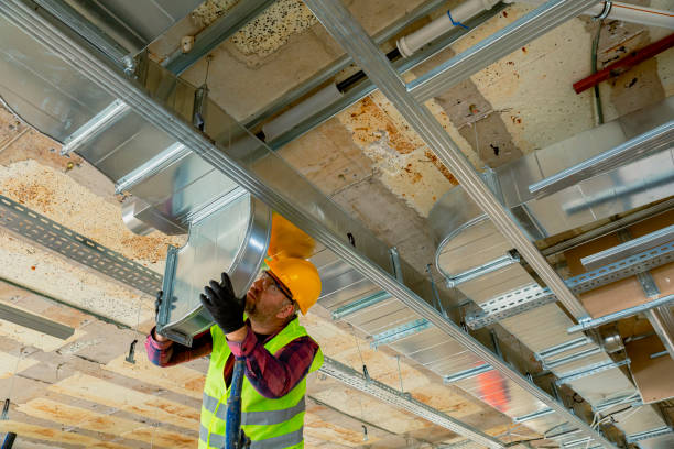 Best Local HVAC Companies  in Forest Lake, IL